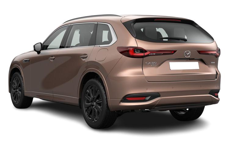 Rear view